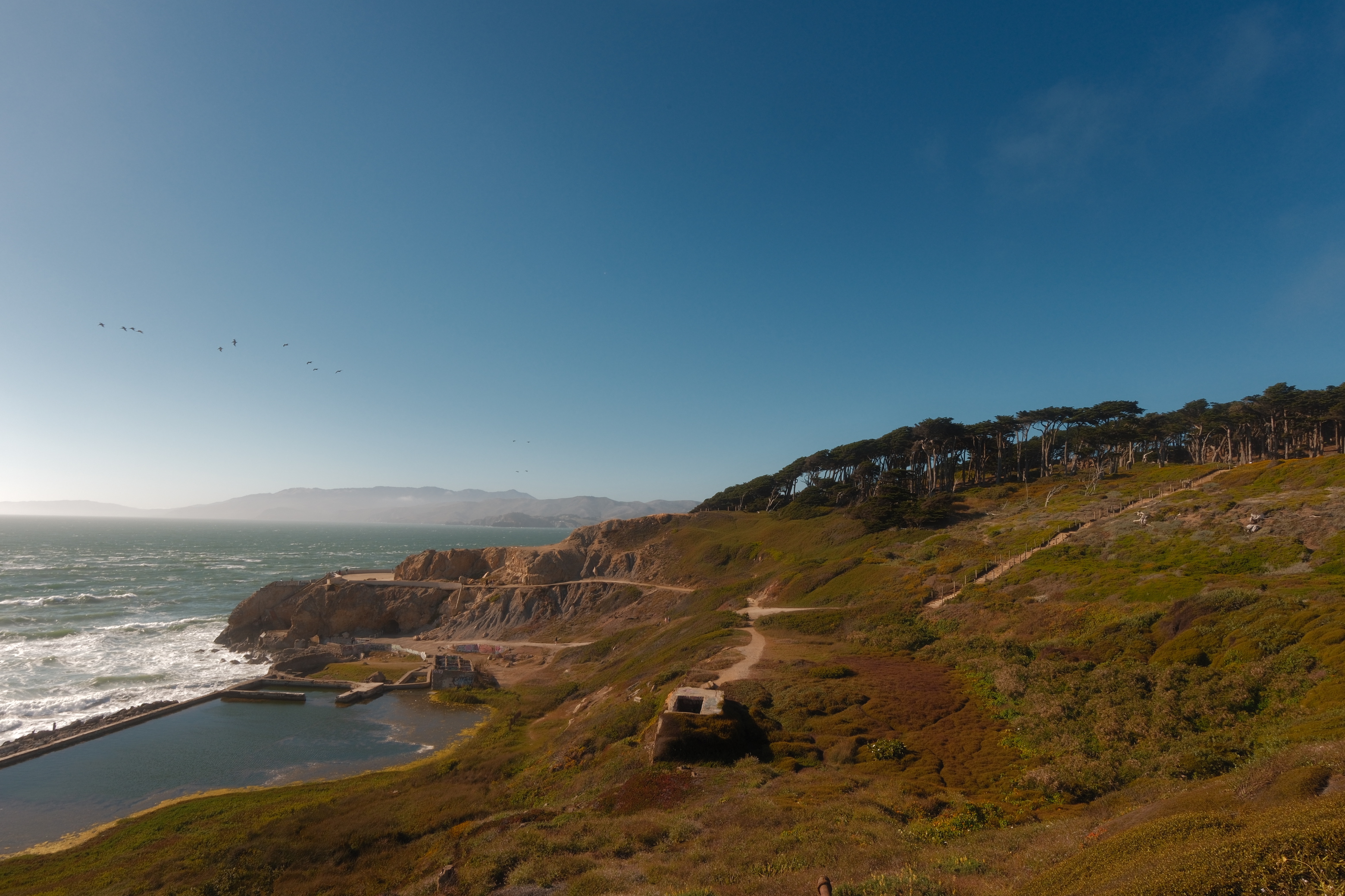 San Francisco 2026 photo 3
