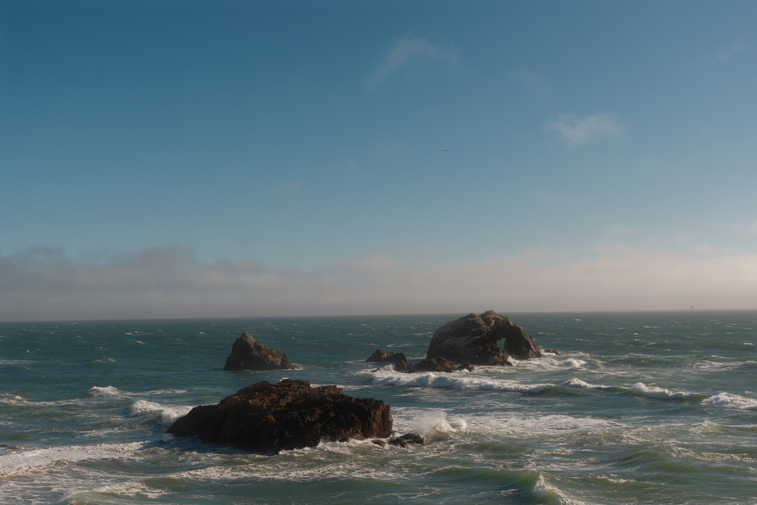 San Francisco 2026 photo 4